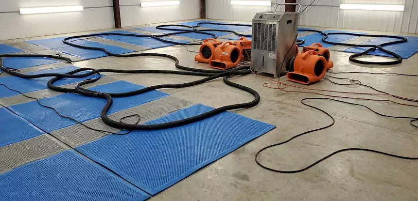 Large-Scale Water Cleanup in Chestnut Mountain
