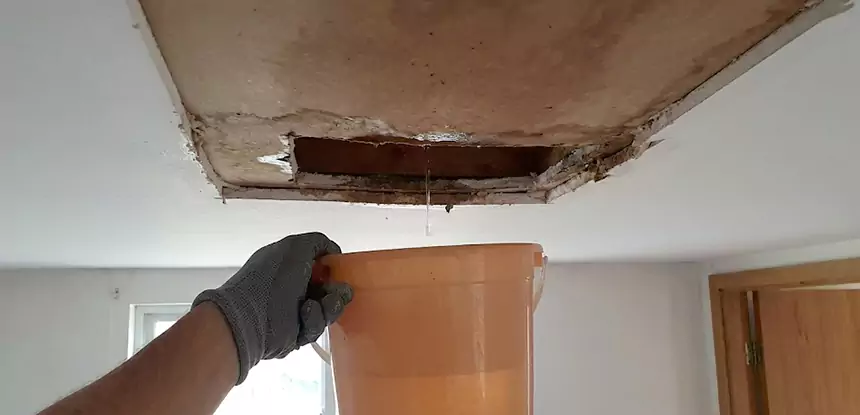 Ceiling Mold Repair Chestnut Mountain