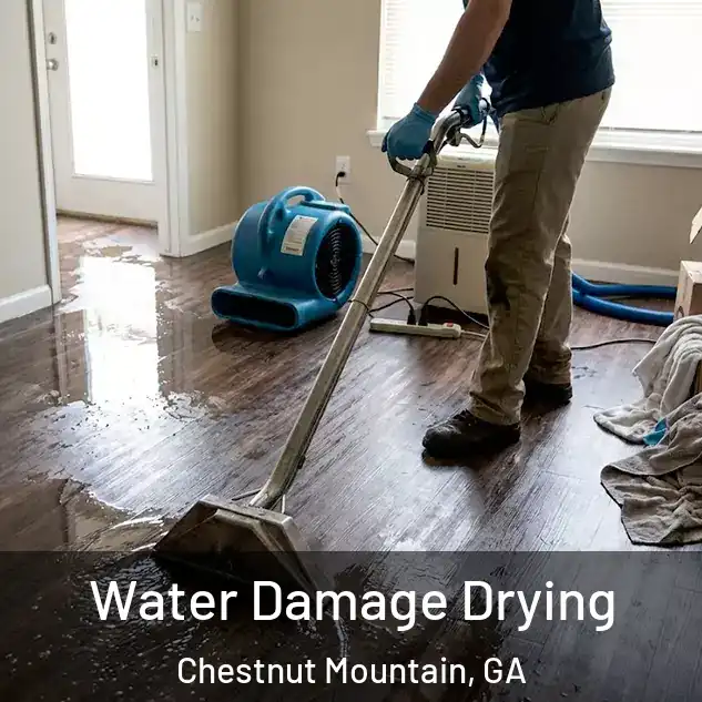  Water Damage Drying Chestnut Mountain, GA